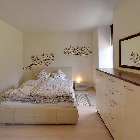 Avangarda * 斯克拉斯卡波伦巴